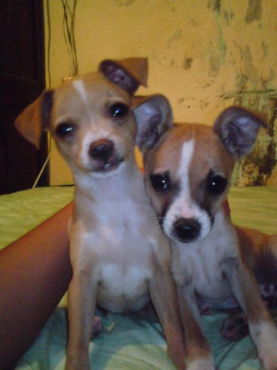 KOKETA & CHETOS =)